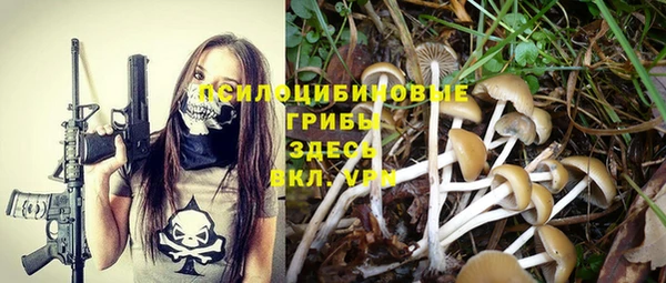экстази Алексеевка