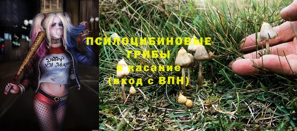 а пвп мука Алексин